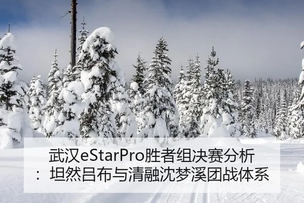 武汉eStarPro胜者组决赛分析：坦然吕布与清融沈梦溪团战体系